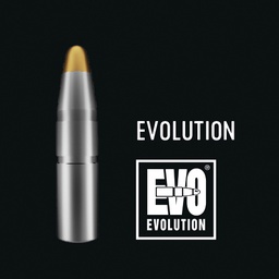 RWS EVOLUTION